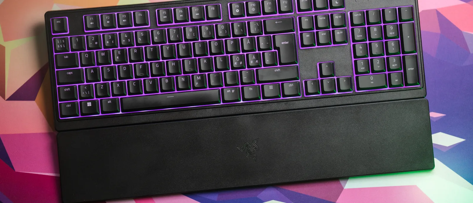Testing Razer's **budget** option