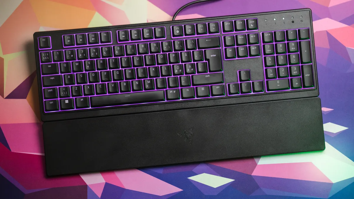 Testing Razer's **budget** option