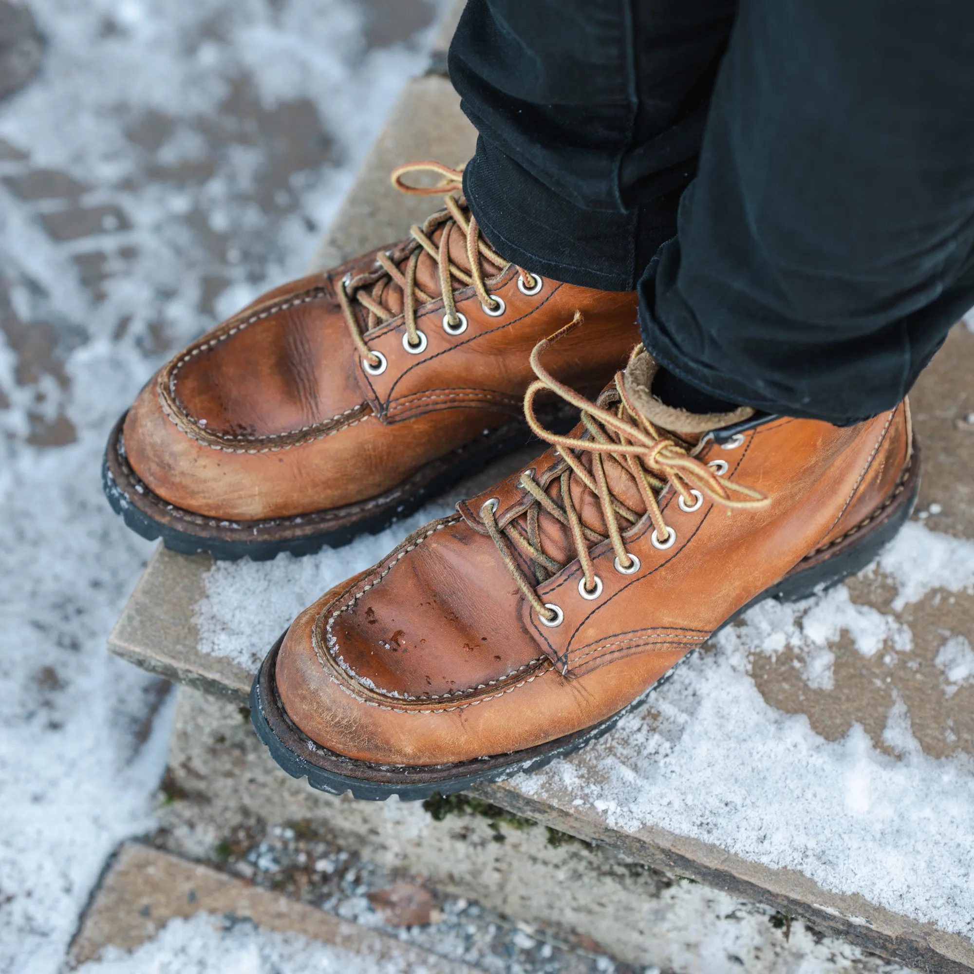 Red Wing Roughneck seen