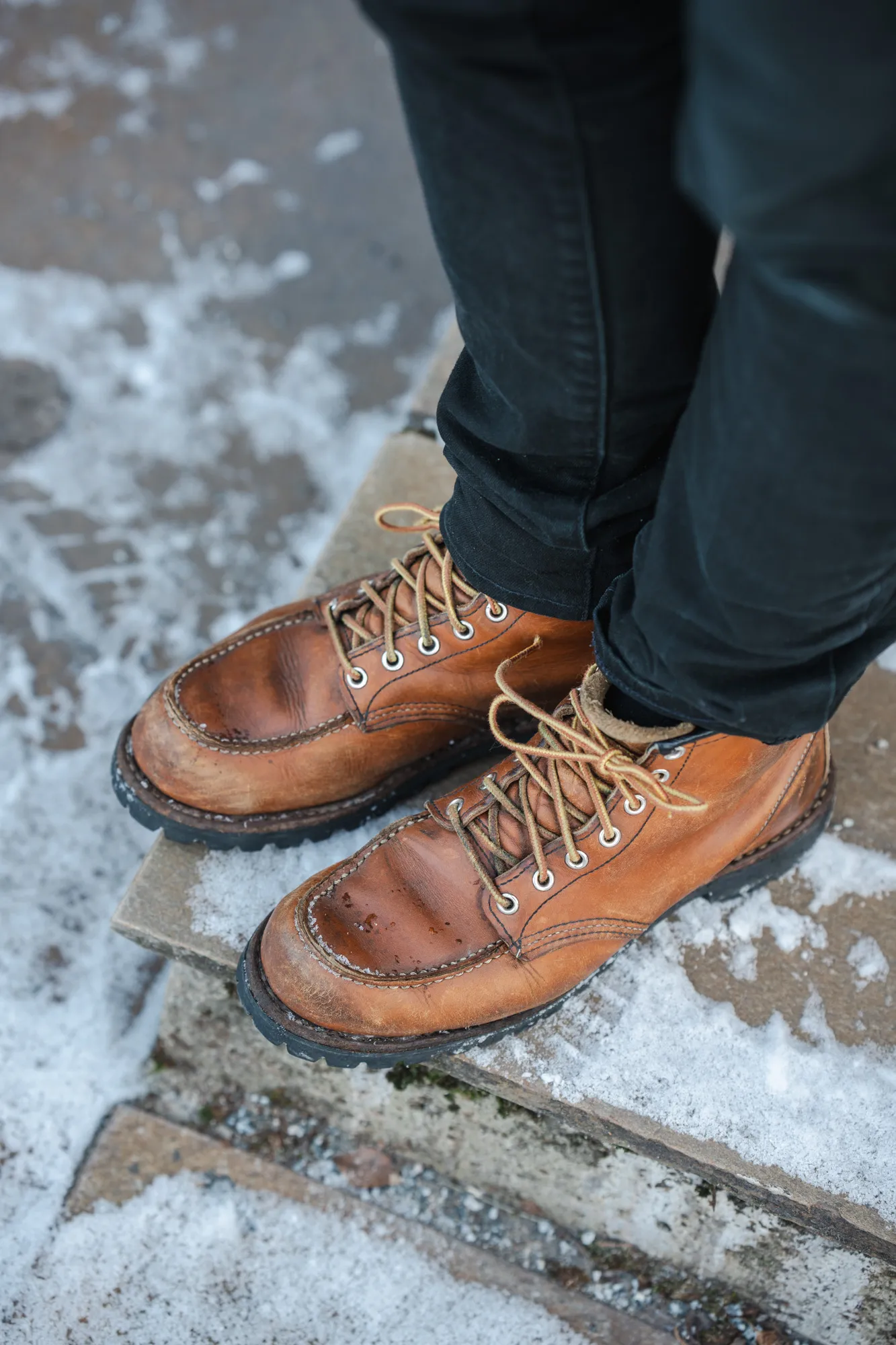 Red Wing Roughneck seen