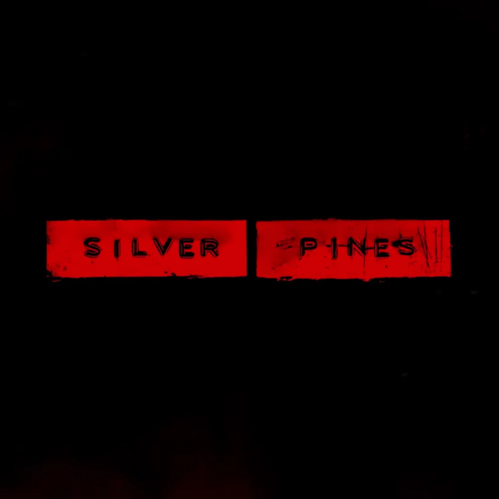 I **loved** the Silver Pines demo