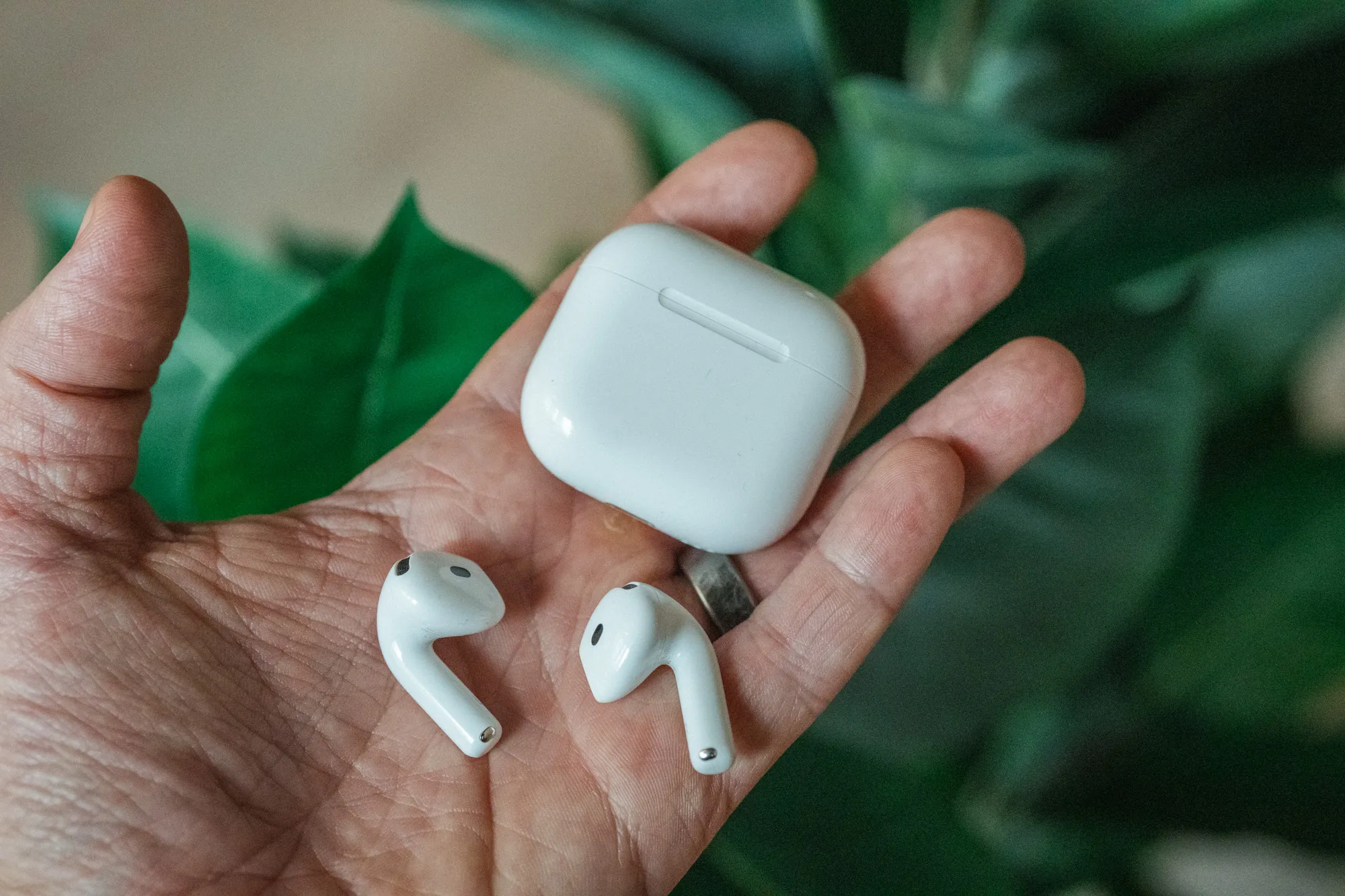 AirPods 5 with the case and both earbuds in the palm of a hand, green plant leaves in the background