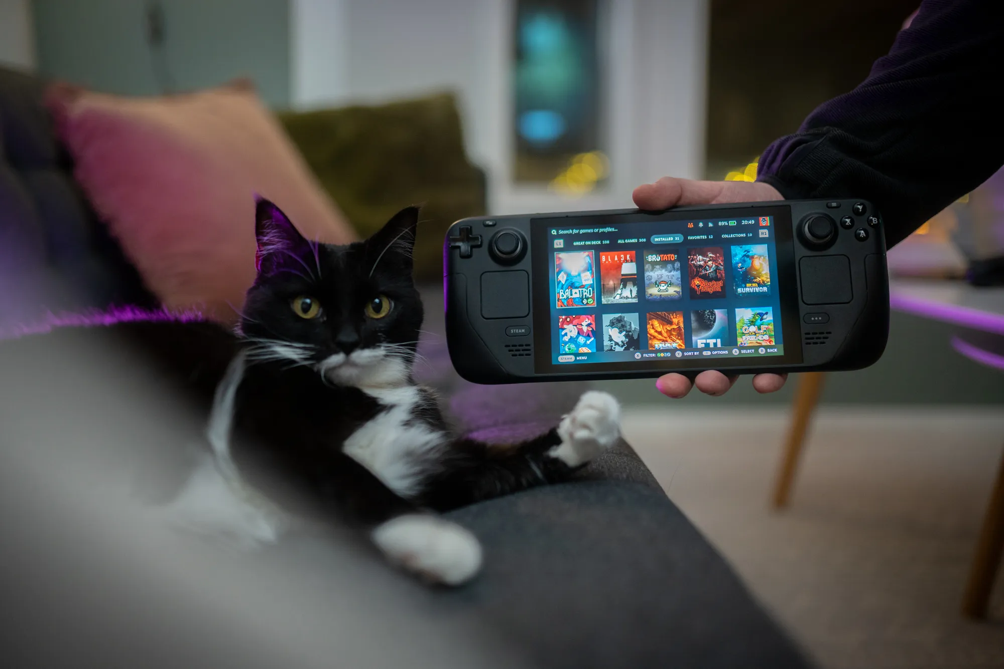 Cat and Steam Deck equals comfort on the couch